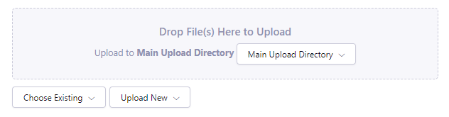 file field